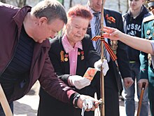 Жасмин и сирень высадят в Котельниках на акции «Лес Победы» 12 мая