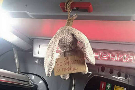 112: в автобусе Балашихи повесили плюшевого зайца для устрашения безбилетников