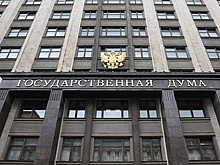 Госдума приняла оптимизирующий порядок госзакупок закон