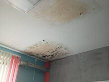 Школа в Бурятии покрылась плесенью и трещинами после ремонта