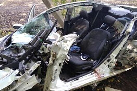 В ДТП под Тамбовом погиб 26-летний водитель иномарки