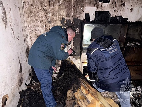 Две женщины погибли на пожаре в Нижегородской области