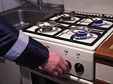 Бобры начеку: как обеспечивается газовая безопасность в Москве