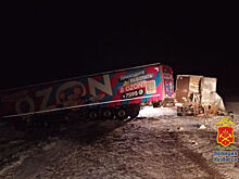 Движение на кузбасской трассе восстановили после смертельного ДТП с фурой Ozon