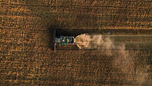 Россия в текущем сельхозгоду планирует экспортировать 50-52 млн тонн зерна