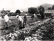 Финансирование крестьянской реформы 1861 года и первая ипотечная программа