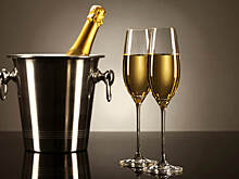 Продажи алкоголя в Вологодской области просели на треть