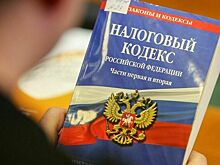 Ананских предложил три года не собирать налоги с малых предприятий