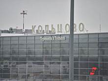 Свердловские депутаты одобрили налоговые льготы для аэропорта Кольцово