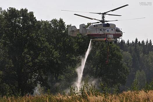 Около 300 лесных пожаров было ликвидировано в Подмосковье