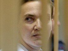В суде Ростовской области рассмотрят дело Савченко