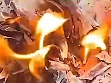 Самарская журналистка Ксения Штефан сожгла свой загранпаспорт в поддержку России