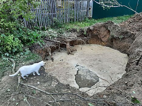 Измучившиеся без воды жители воззвали к костромскому губернатору