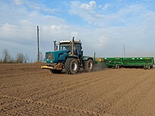Сельхозтоваропроизводители Удмуртии получат дополнительную субсидию на производство зерна