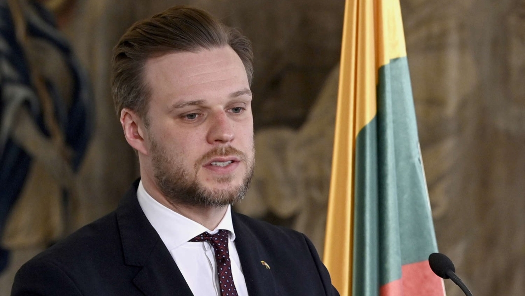 МИД Литвы не верит в возможность согласия ЕС по отправке военных на Украину
