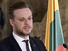 В Литве призвали «сказать спасибо» Украине за желание бить по России