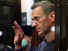 Где сидел Навальный: колония «Полярный волк» на карте