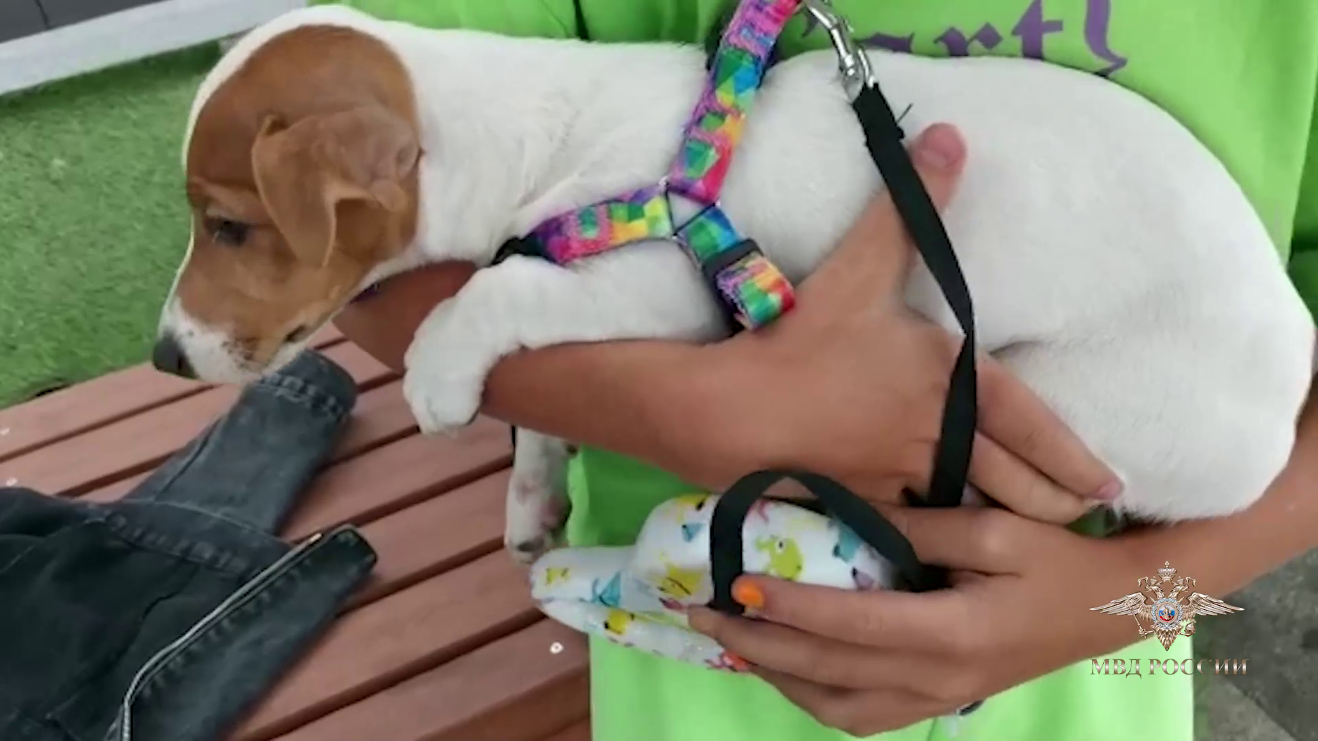 Ирина Волк: В Республике Хакасия сотрудники полиции помогли хозяевам найти потерявшуюся собаку