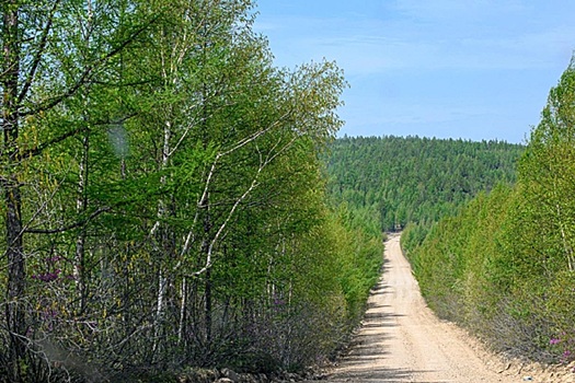 В Забайкалье более половины дорог находятся не в нормативном состоянии