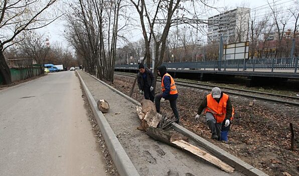 В преддверии запуска МЦД-1 коммунальщики Отрадного приводят в порядок территории рядом с остановочными пунктами