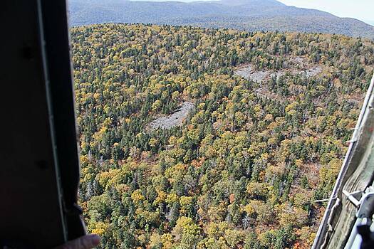 Озвучены версии бесследного исчезновения российской семьи в тайге