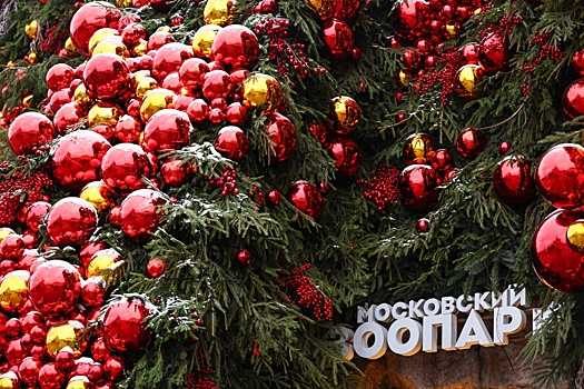 Всероссийская экоелка открылась в Московском зоопарке