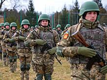 Украинский депутат призвал лишить ветеранов ВСУ всех льгот