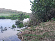 Девочка и спасавший её мужчина утонули на реке под Саратовом