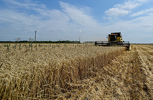 Правительство может запретить экспорт зерновых из РФ в случае снижения запасов до 10 млн тонн