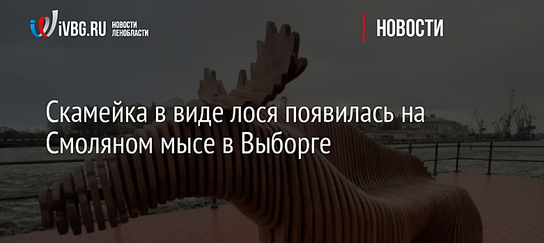 Скамейка в виде лося появилась на Смоляном мысе в Выборге