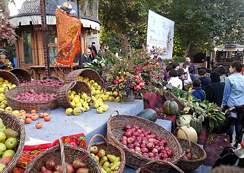 В саду «Эрмитаж» жителей Столицы будет ждать праздник урожая
