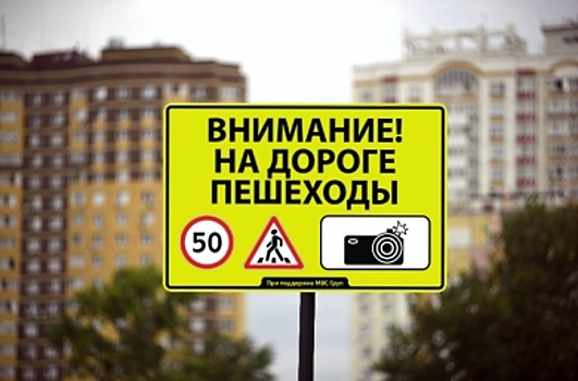 Предупреждающие знаки перед камерами «в кустах»: за или против?