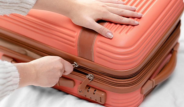 Депутаты продолжают продвигать идею единого стандарта ручной клади в самолете