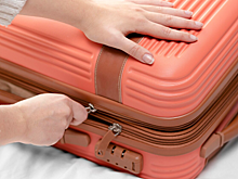 Депутаты продолжают продвигать идею единого стандарта ручной клади в самолете