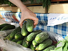 Жители и гости Луховиц отметили "Праздник огурца"