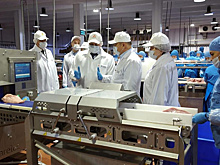 Лазерная линия производства индейки запущена в Ростовской области