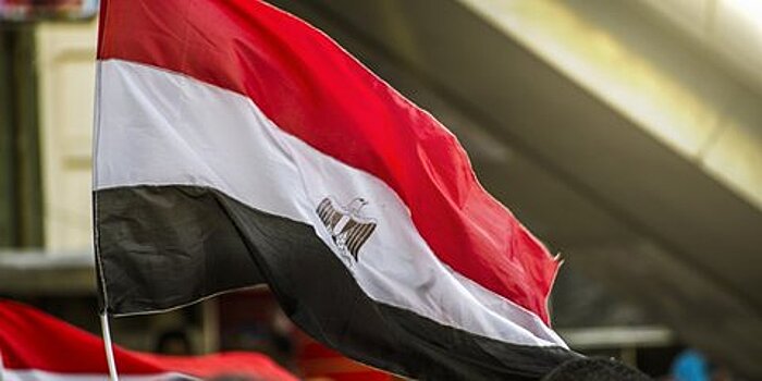 В Египте лидеров "Братьев-мусульман"* приговорили к пожизненному заключению