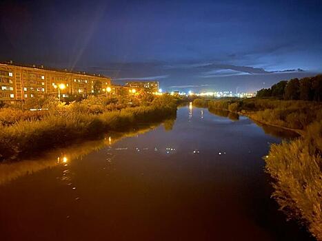 Частичный ремонт покрытия моста на улице Ярославского в Чите запланирован в сентябре