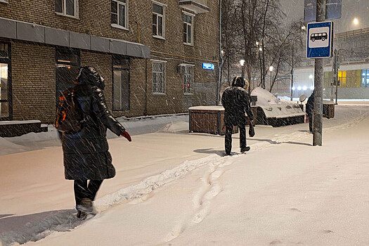 Собянин предупредил об аномальном снегопаде в Москве
