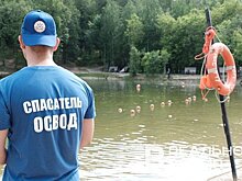 На муниципальных пляжах Казани с начала купального сезона спасли пять человек