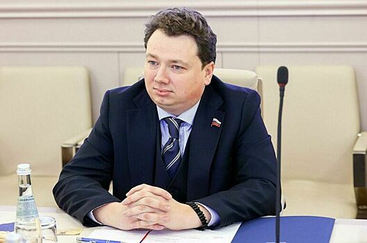 Сенатор Шендерюк-Жидков объяснил, почему упал курс биткоина