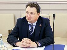 Сенатор Шендерюк-Жидков объяснил, почему упал курс биткоина