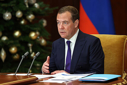 Медведев: возникающие среди мигрантов этнические анклавы игнорируют законы России