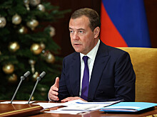 Медведев: возникающие среди мигрантов этнические анклавы игнорируют законы России