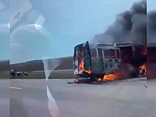 Почти 50 человек погибли и 599 пострадали в ДТП с участием грузовиков в Москве за полгода
