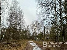 Массовая вырубка деревьев в Казани нанесла ущерб природе на 8 млн рублей