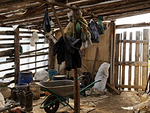 Что такое дачная амнистия, и как ей воспользоваться