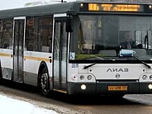 Свыше 200 тысяч москвичей поучаствовали в проекте «Добрый автобус» с момента его запуска