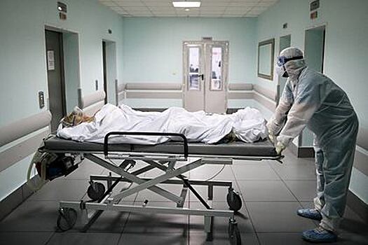 Миллионы россиян узнали о трудностях врачей в эпоху пандемии