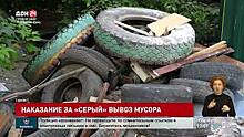 В Ростовской области намерены ужесточить наказание за так называемый &laquo;серый&raquo; вывоз мусора